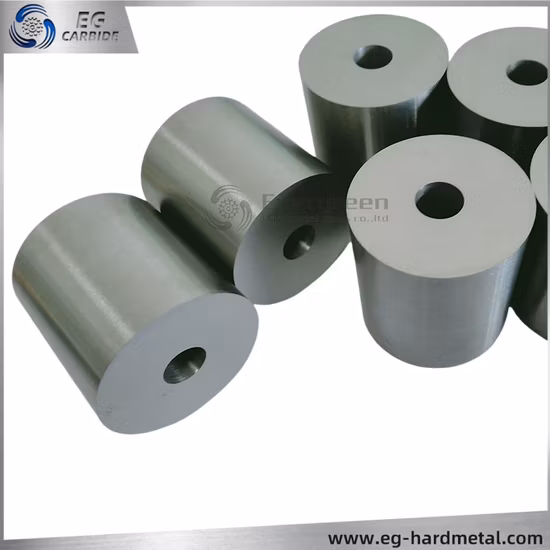 Matrice / pennino / stampo in lega dura di carburo di tungsteno